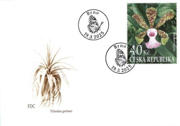 FDC 1308 - 1311 ● - 2025